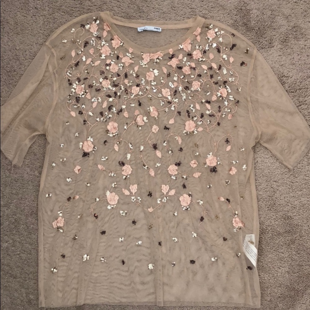 Zara Sheer Embroidered blouse.